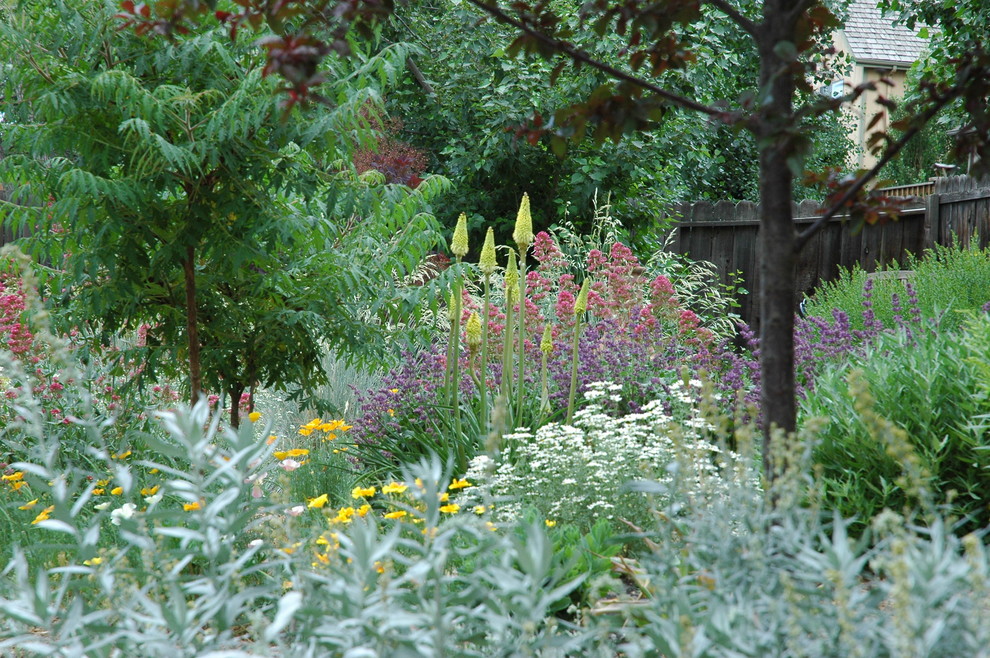 Colorado Springs Xeriscape Garden Mediterranean Landscape Denver