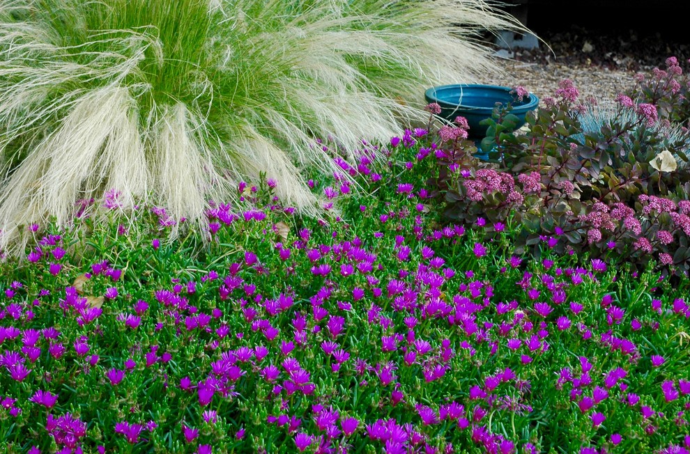 Colorado Springs Xeriscape Garden Mediterranean Landscape Denver