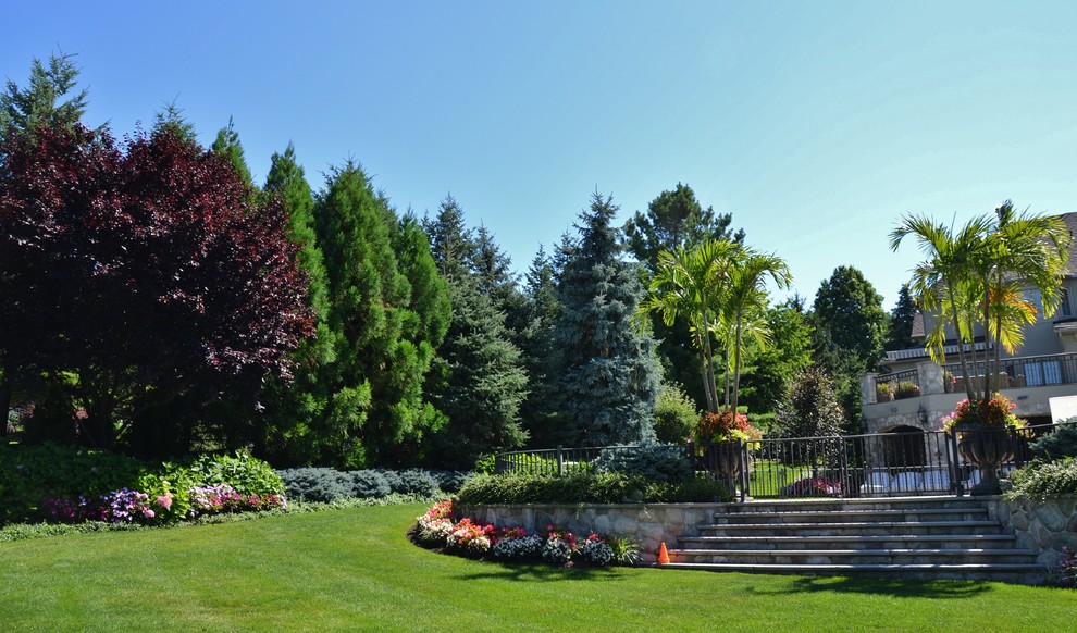 Immagine di un giardino tropicale esposto in pieno sole di medie dimensioni e dietro casa in estate