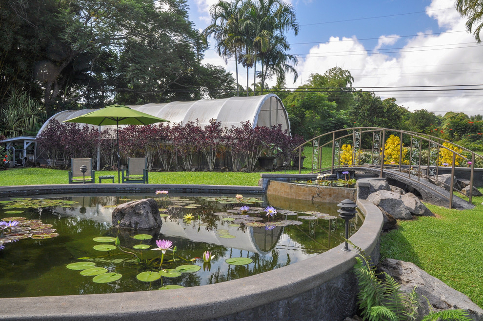 Photo of a medium sized contemporary back full sun garden in Hawaii with a pond.