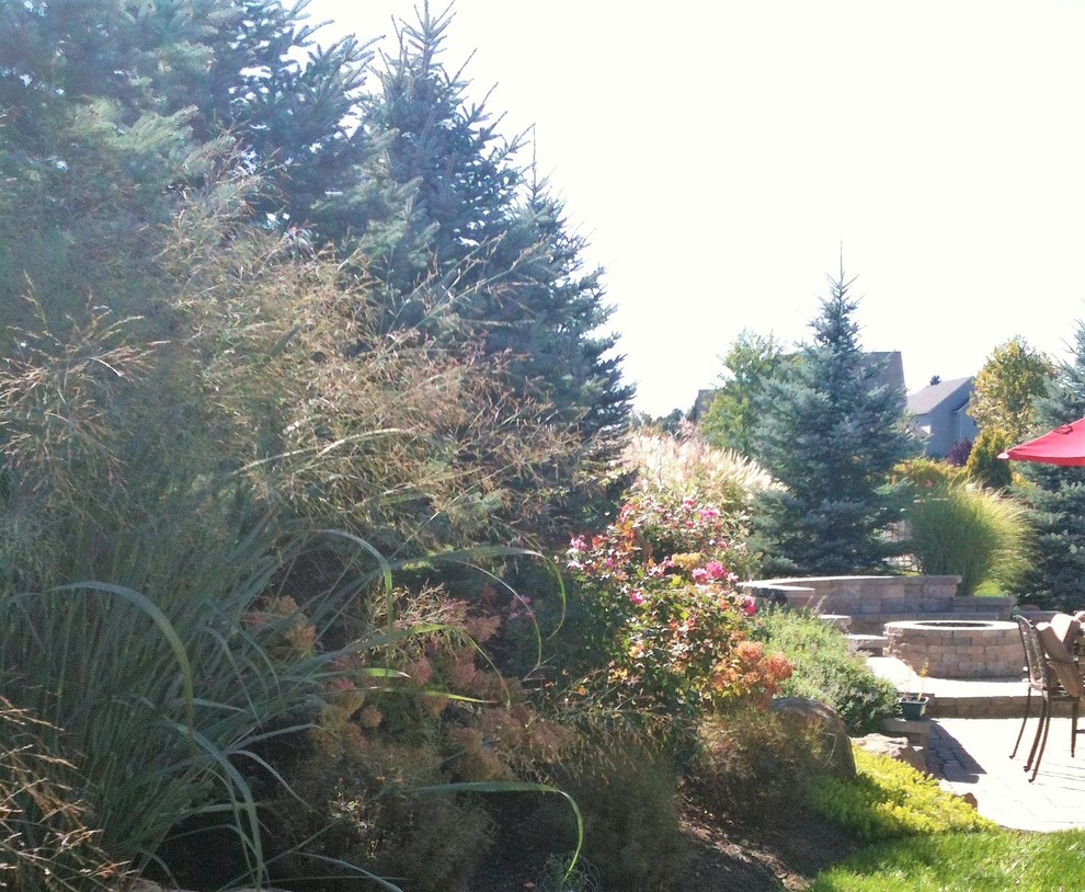 Diseño de jardín de secano contemporáneo de tamaño medio en verano en patio trasero con brasero, exposición total al sol y adoquines de hormigón