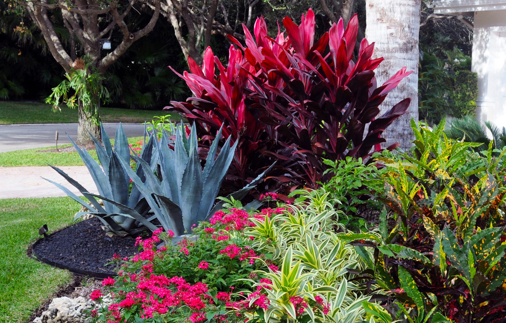 Design ideas for a medium sized world-inspired front full sun garden in Miami with gravel.