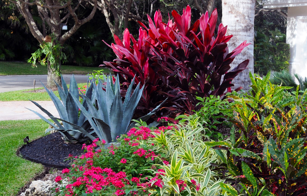 Colorful Curb Appeal in a Boca Raton Landscape - Tropical - Landscape