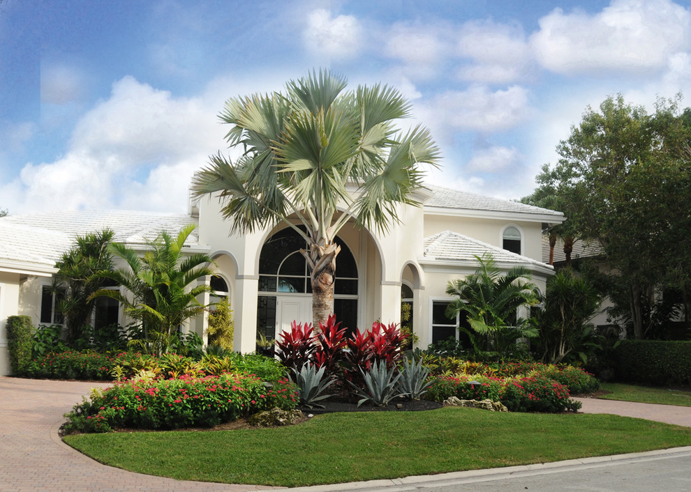 Mittelgroßer, Geometrischer Garten im Sommer mit direkter Sonneneinstrahlung und Betonboden in Miami