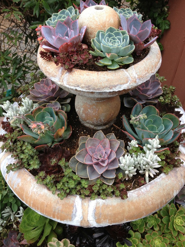 Photo of an eclectic garden in Orange County.