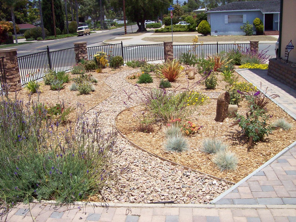 Colorful new front yard in Chula Vista - Traditional - Landscape - San ...