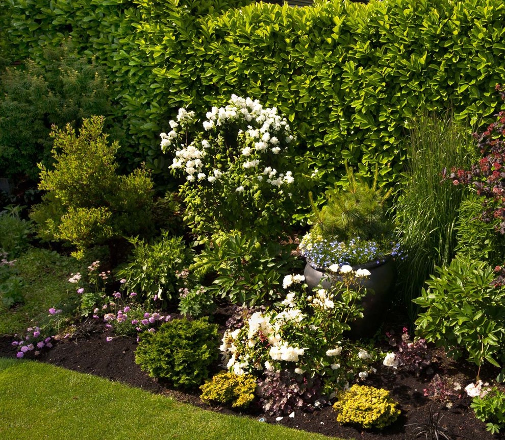 Свежая идея для дизайна: регулярный сад на заднем дворе в современном стиле с садовой дорожкой или калиткой и мощением тротуарной плиткой - отличное фото интерьера