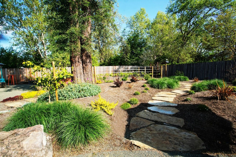 Immagine di un grande giardino xeriscape mediterraneo esposto a mezz'ombra dietro casa in primavera con un ingresso o sentiero e pacciame