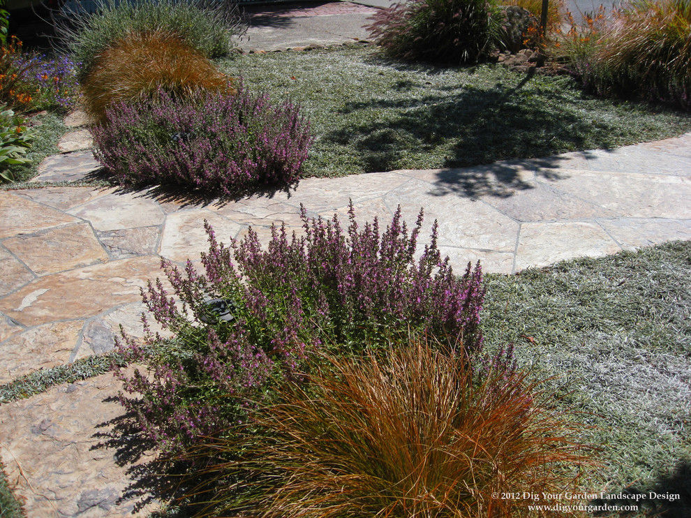 Foto di un giardino mediterraneo esposto a mezz'ombra di medie dimensioni e davanti casa in autunno con un ingresso o sentiero e pavimentazioni in pietra naturale