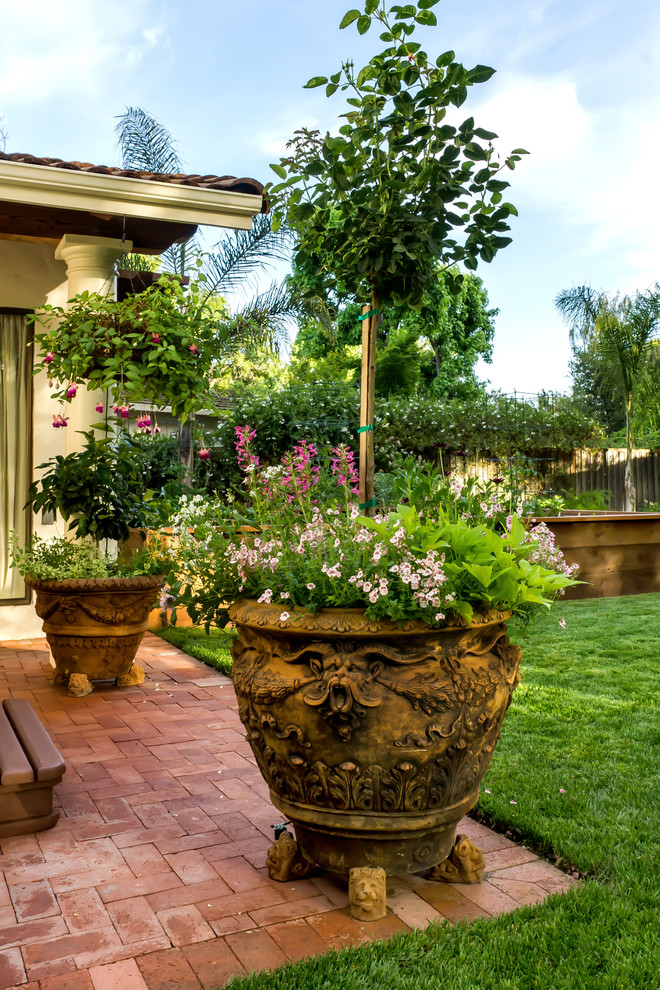 Imagen de jardín mediterráneo de tamaño medio en verano en patio trasero con exposición total al sol y adoquines de ladrillo