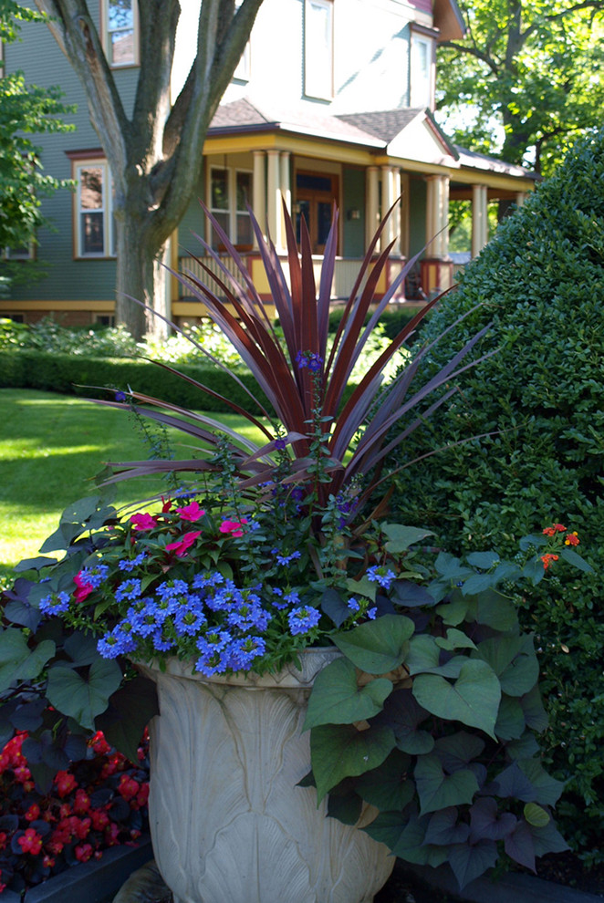 Esempio di un giardino chic esposto a mezz'ombra di medie dimensioni e davanti casa in estate con un giardino in vaso