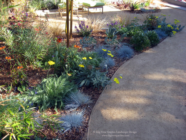 front yard decomposed granite landscape design