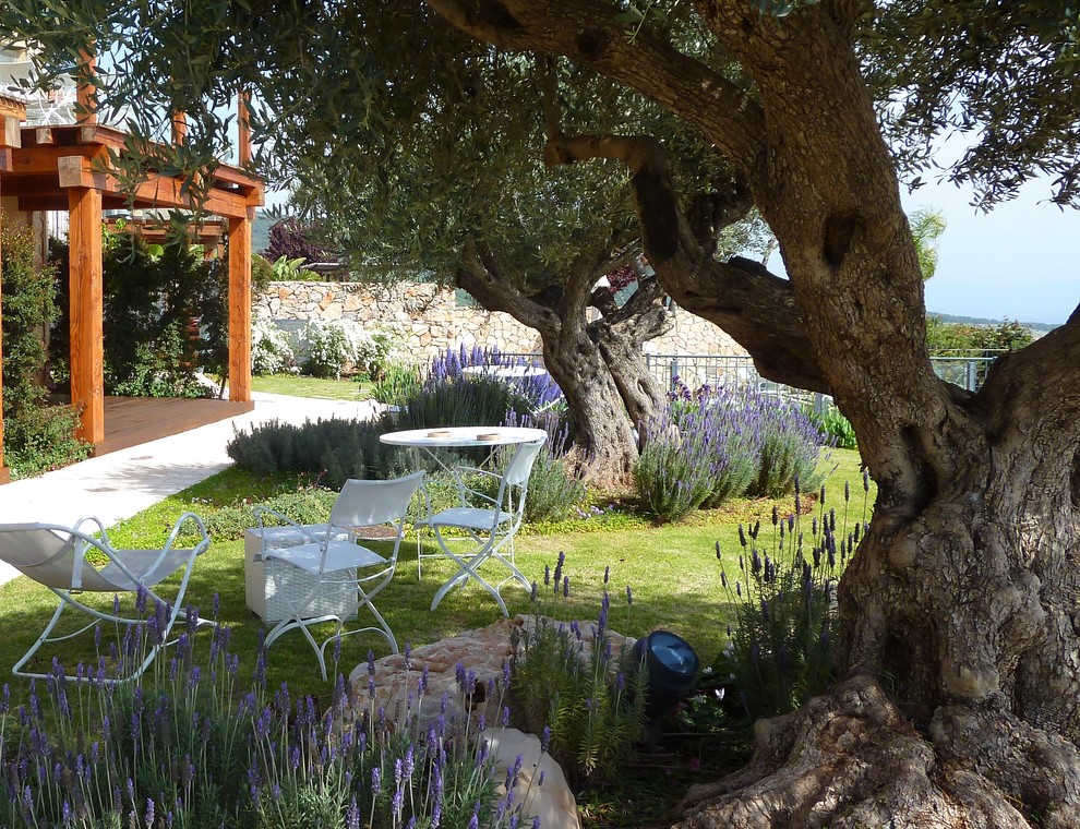 テルアビブにある地中海スタイルのおしゃれな庭の写真