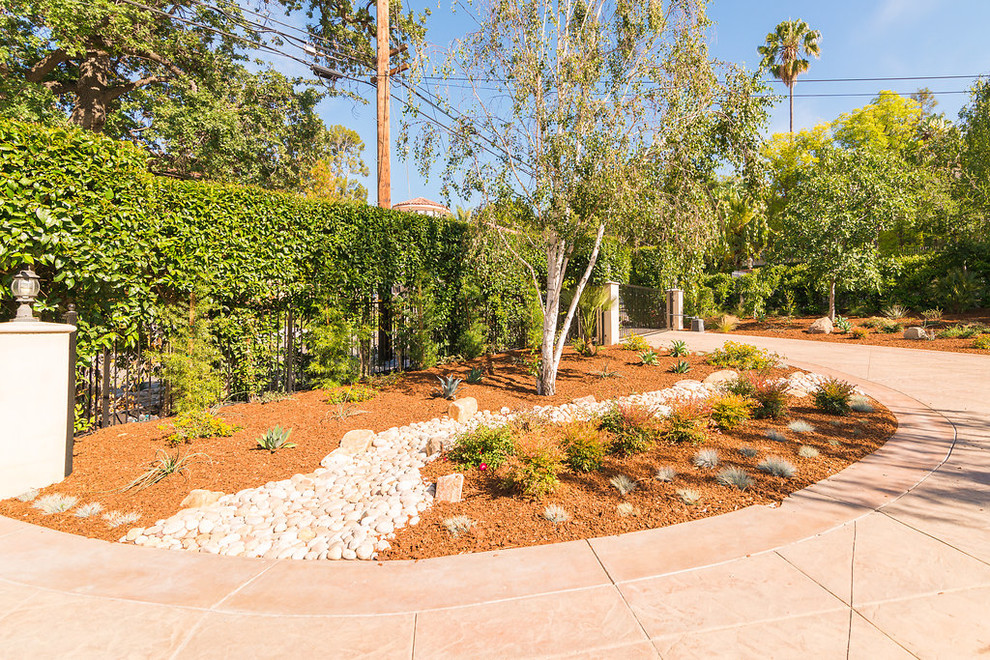 Свежая идея для дизайна: большой летний регулярный сад на заднем дворе в современном стиле с полуденной тенью - отличное фото интерьера