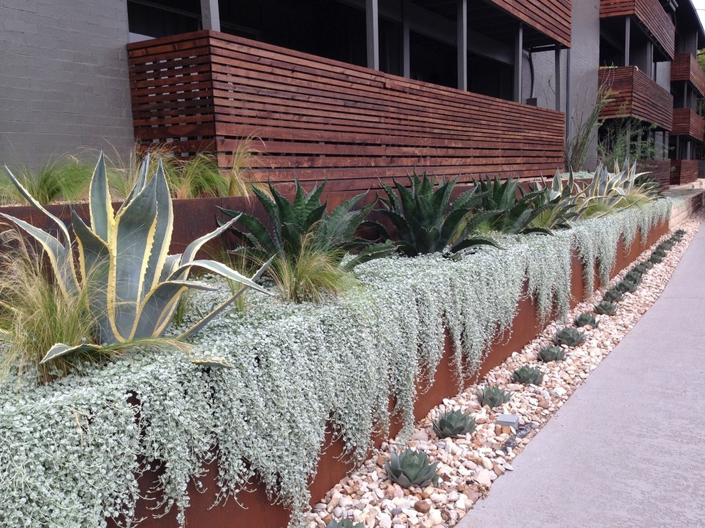 This is an example of a modern garden in Austin.