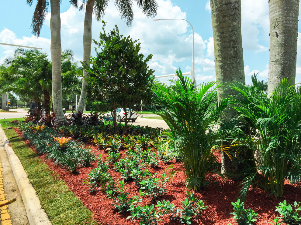 Foto di un grande giardino xeriscape tropicale esposto in pieno sole con un pendio, una collina o una riva