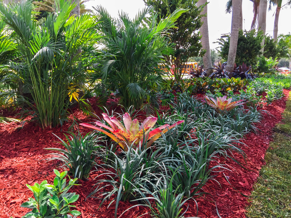 Foto di un grande giardino xeriscape tropicale esposto in pieno sole con un pendio, una collina o una riva