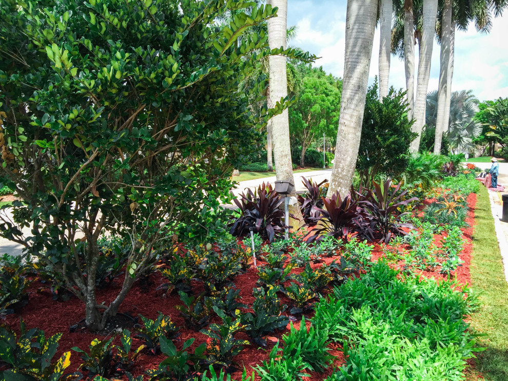 Immagine di un grande giardino xeriscape tropicale esposto in pieno sole con un pendio, una collina o una riva