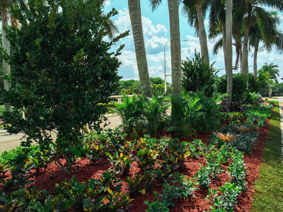 Idee per un grande giardino xeriscape tropicale esposto in pieno sole con un pendio, una collina o una riva