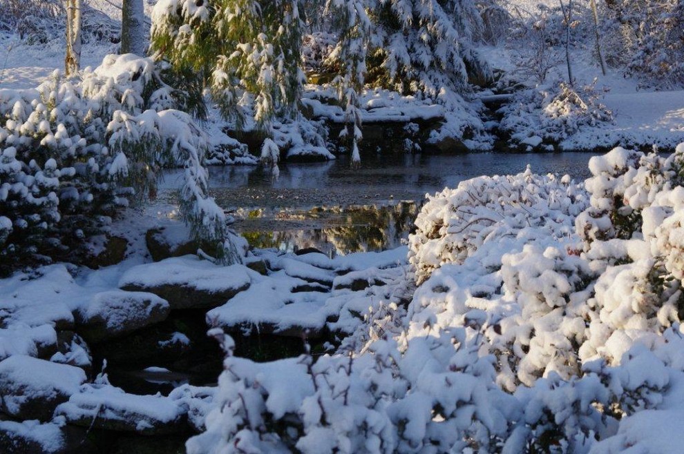 Foto di un grande giardino classico in inverno con un ingresso o sentiero e un pendio, una collina o una riva