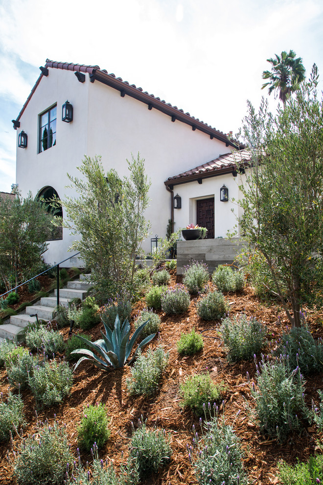 Стильный дизайн: солнечный засухоустойчивый сад на переднем дворе в стиле неоклассика (современная классика) с хорошей освещенностью - последний тренд