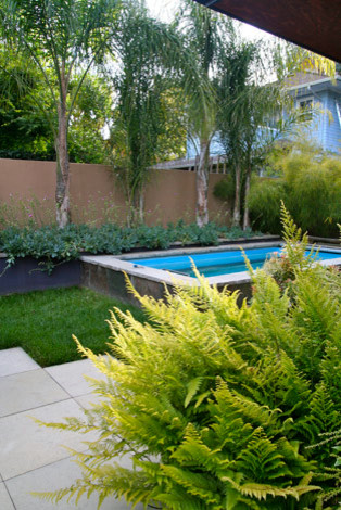 Modelo de jardín clásico renovado de tamaño medio en invierno en patio trasero con adoquines de piedra natural, jardín francés, estanque y exposición total al sol