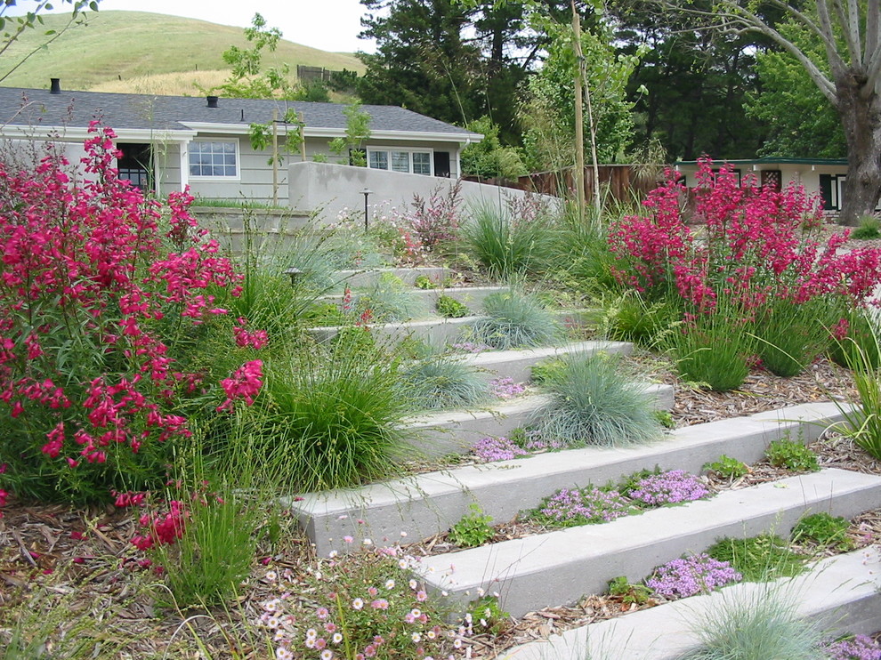 Exemple d'un jardin tendance avec une pente, une colline ou un talus.
