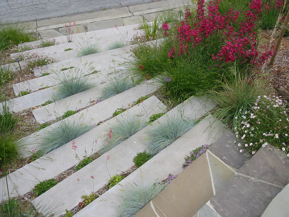 This is an example of a contemporary hillside landscaping in San Francisco.