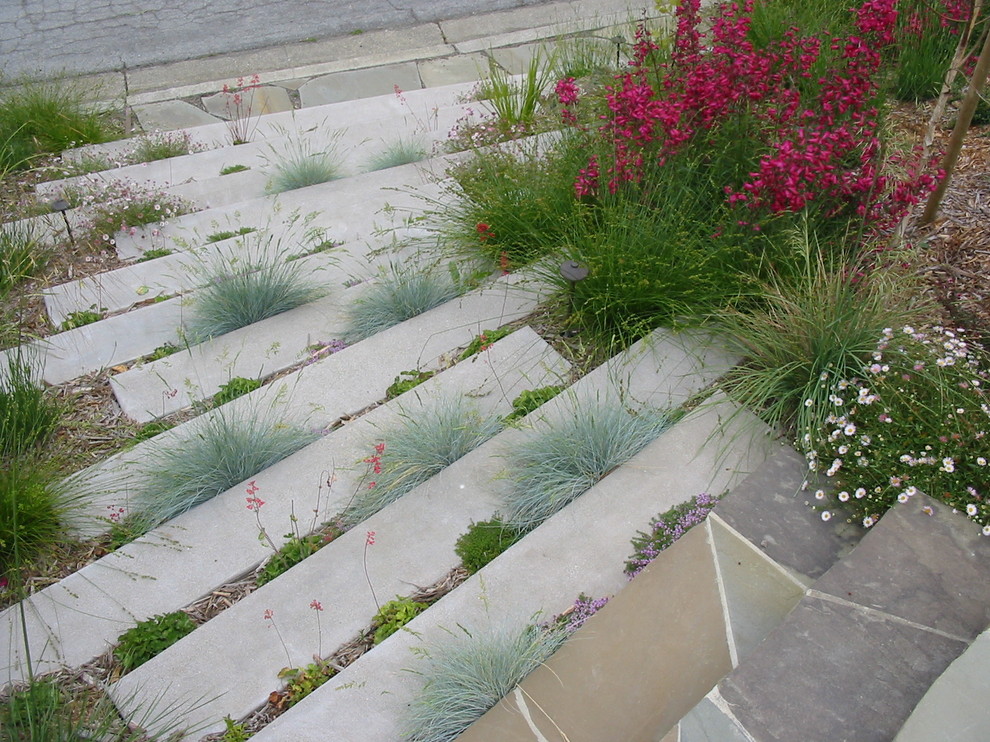 Ispirazione per un giardino contemporaneo con un pendio, una collina o una riva e scale