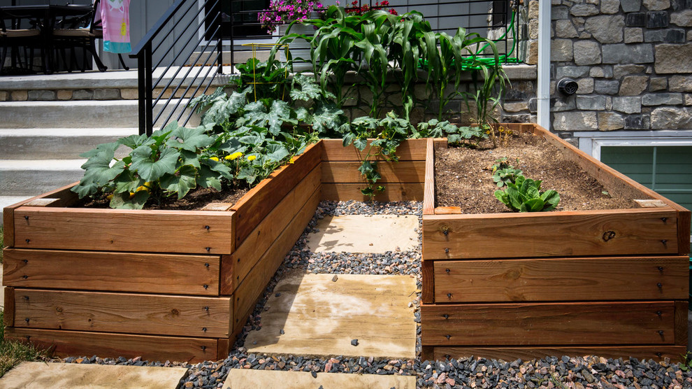 Источник вдохновения для домашнего уюта: регулярный сад среднего размера на заднем дворе в стиле ретро с растениями в контейнерах и мощением клинкерной брусчаткой
