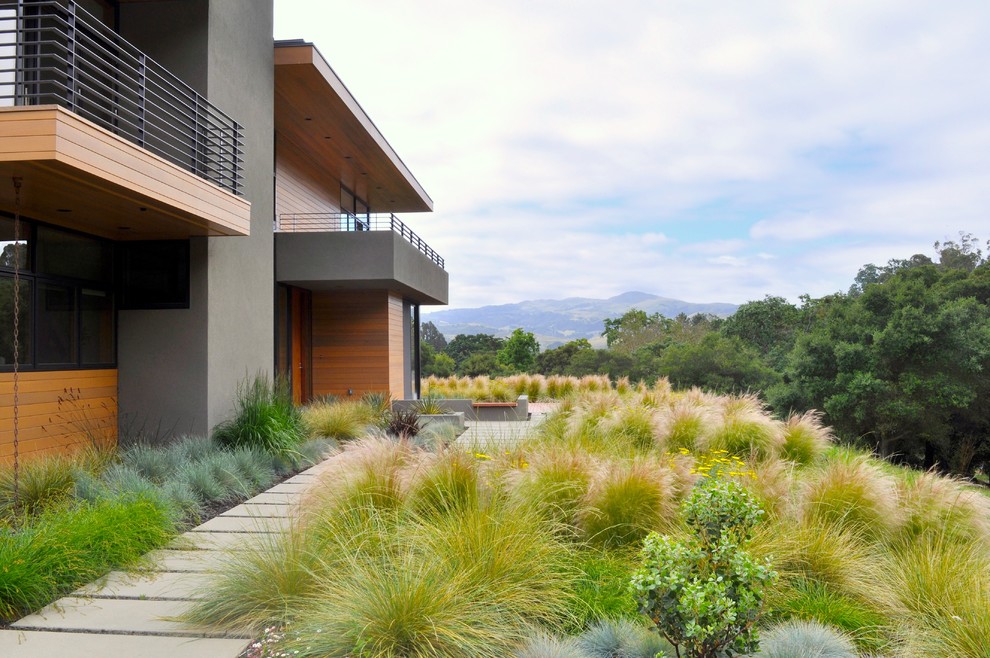 Moderner Garten hinter dem Haus mit Betonboden in San Francisco