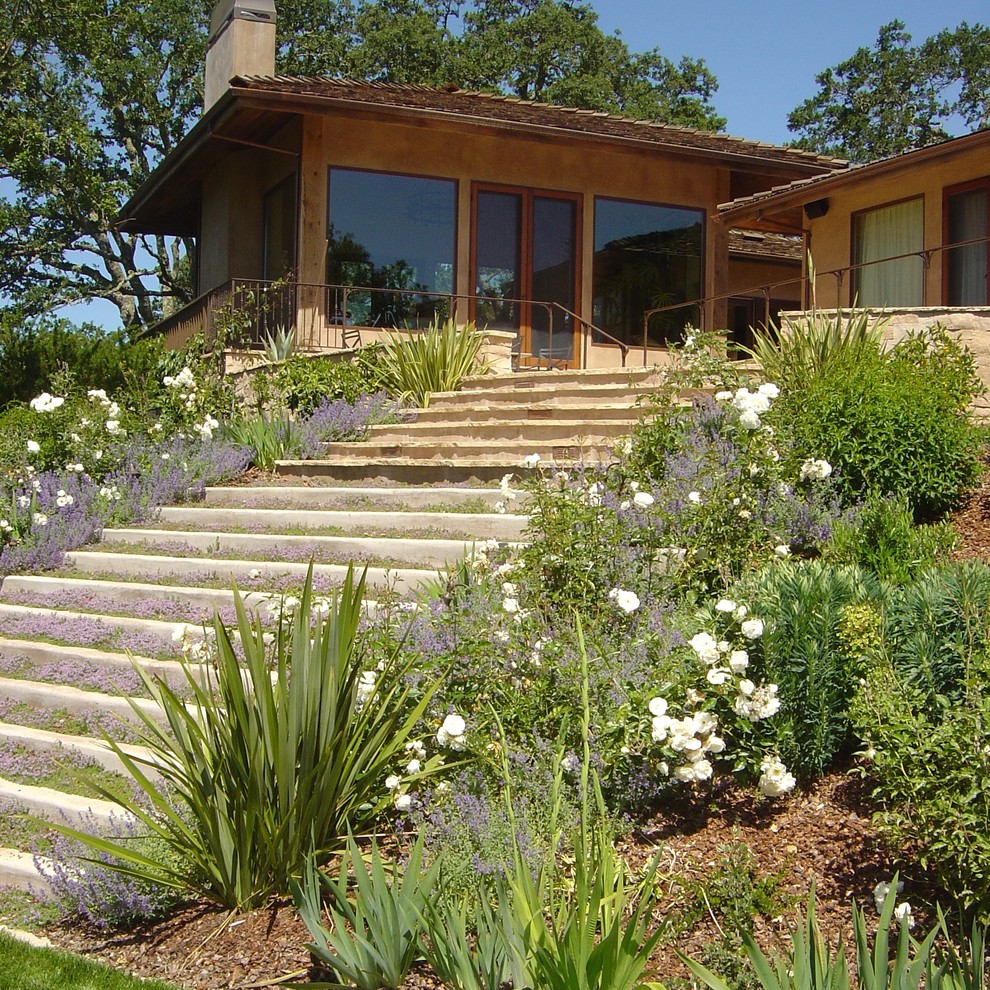 This is an example of a contemporary garden steps in San Francisco.