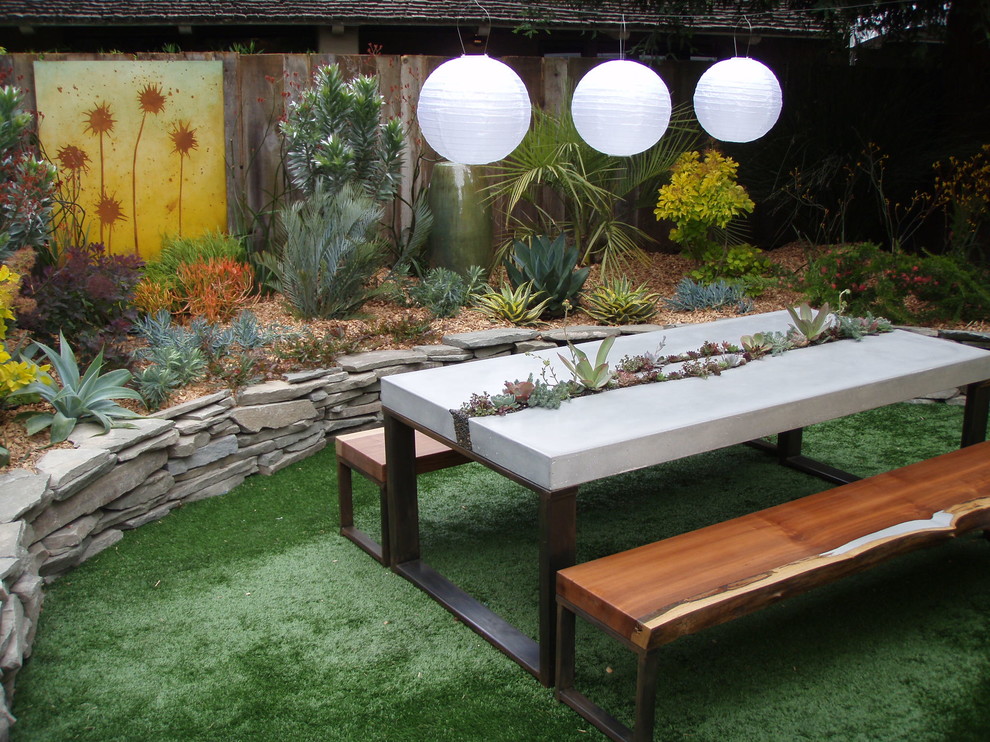 サンフランシスコにある高級な広い、夏のコンテンポラリースタイルのおしゃれな裏庭 (ゼリスケープ、日向) の写真
