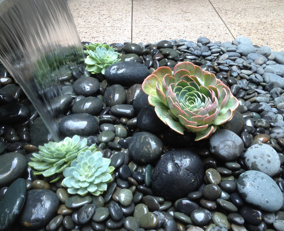 Inspiration for a contemporary full sun rooftop water fountain landscape in San Francisco.