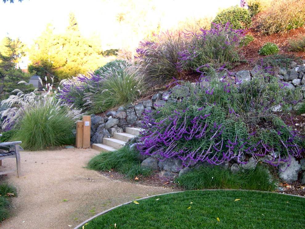 Immagine di un giardino xeriscape classico esposto in pieno sole in cortile e di medie dimensioni con un ingresso o sentiero e ghiaia