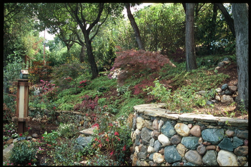 Design ideas for a mid-sized traditional backyard retaining wall landscape in San Francisco.