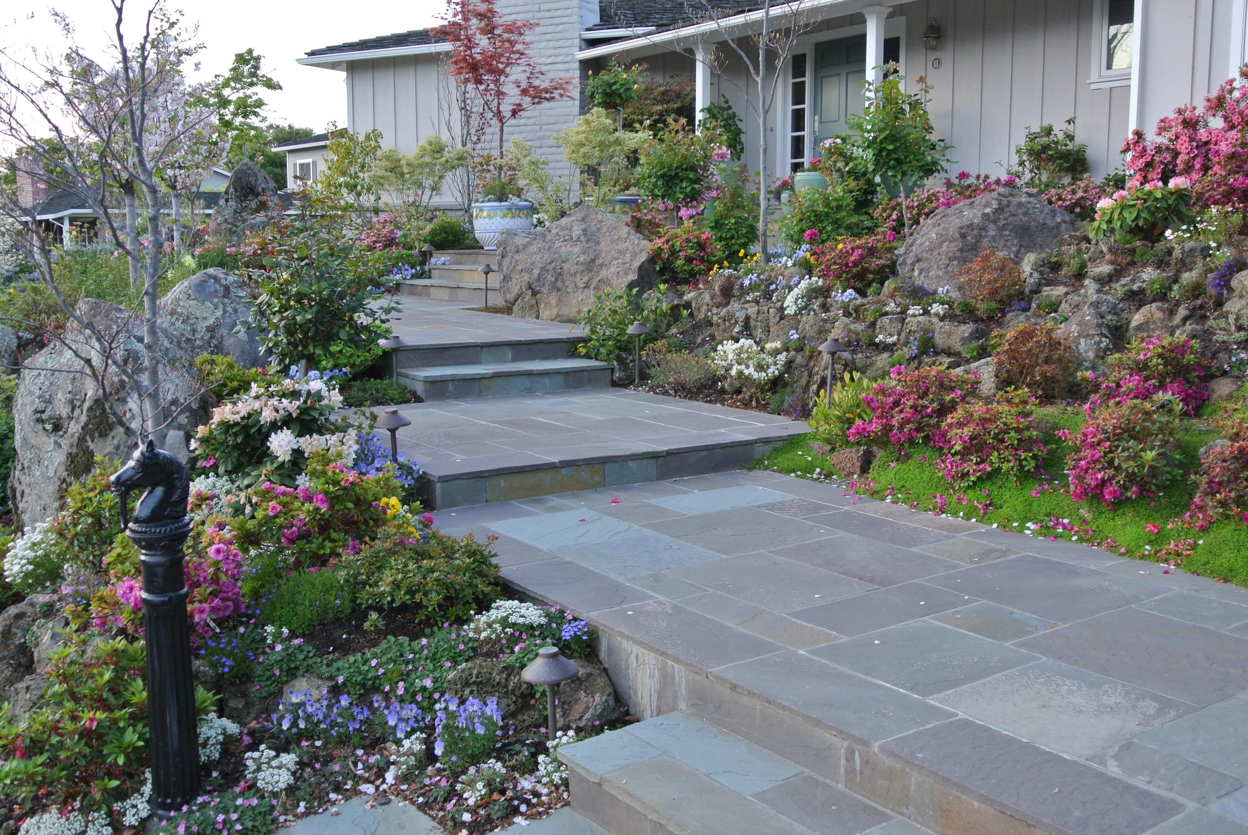 Traditional Symmetrical Front Landscape - Photos & Ideas | Houzz