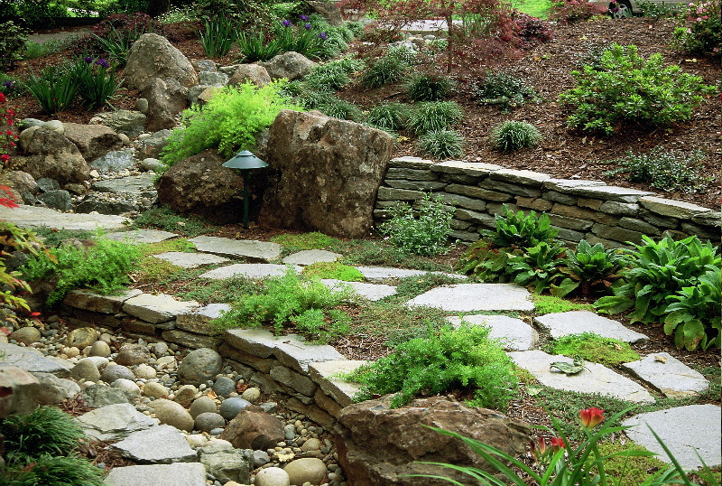 Diseño de jardín tradicional de tamaño medio en patio trasero con muro de contención, exposición reducida al sol y adoquines de piedra natural