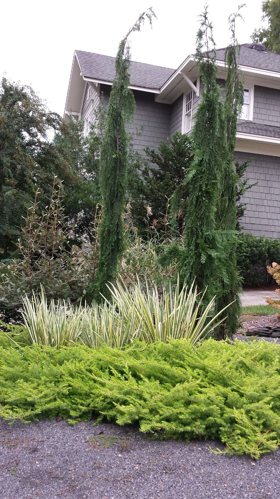 シャーロットにある中くらいなコンテンポラリースタイルのおしゃれな前庭 (屋外コート、半日向) の写真
