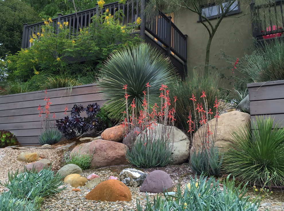 Photo of a small contemporary drought-tolerant and full sun front yard retaining wall landscape in Los Angeles.