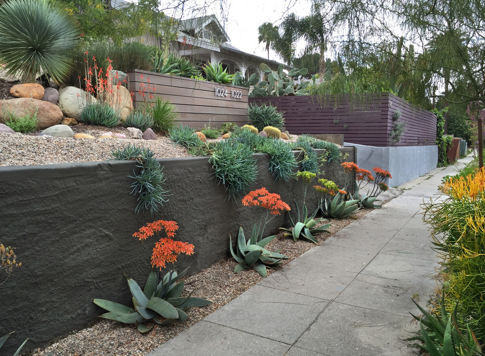 На фото: маленький солнечный засухоустойчивый сад на переднем дворе в современном стиле с хорошей освещенностью и пустынными растениями для на участке и в саду