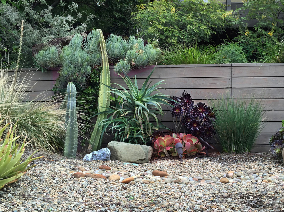 На фото: маленький солнечный засухоустойчивый сад на переднем дворе в современном стиле с подпорной стенкой и хорошей освещенностью для на участке и в саду