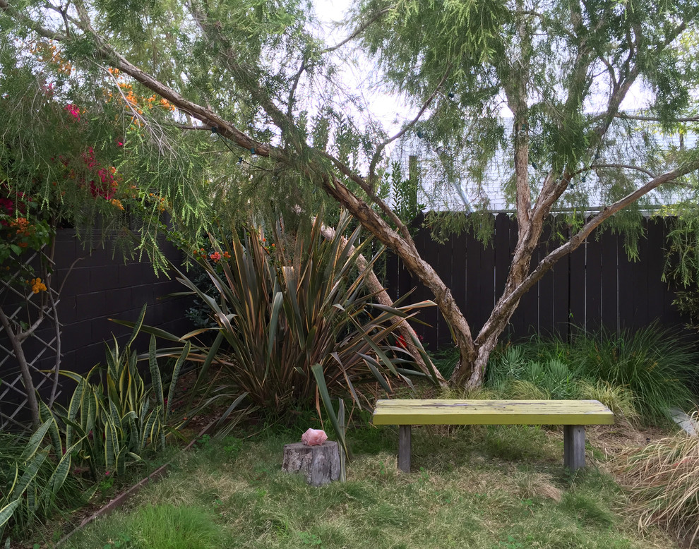 Foto di un piccolo giardino xeriscape minimal esposto in pieno sole dietro casa con un muro di contenimento