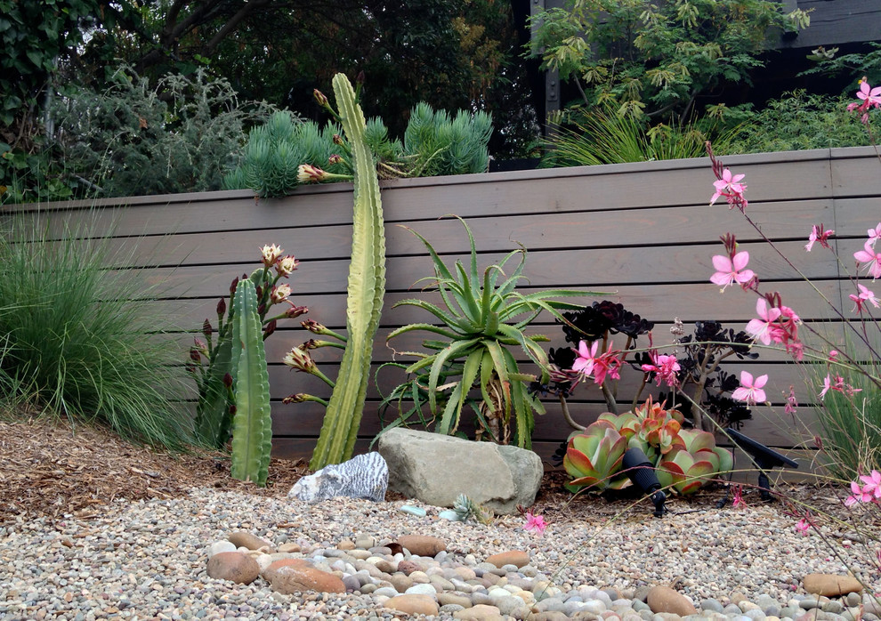 Photo of a small contemporary front full sun garden in Los Angeles with a retaining wall and gravel.