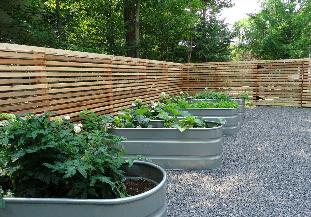Exemple d'un jardin en pots arrière moderne de taille moyenne avec une exposition partiellement ombragée et du gravier.