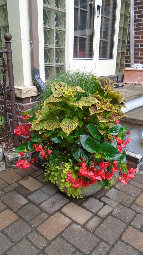 Esempio di un giardino classico in ombra con un giardino in vaso