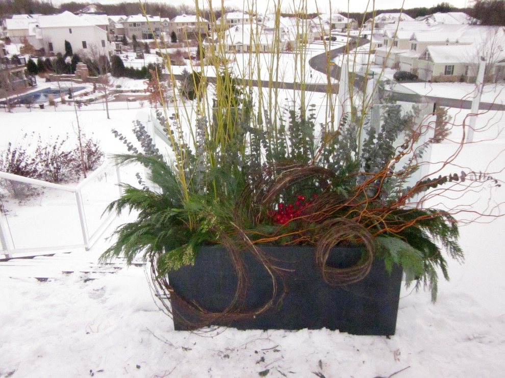 Idee per un giardino design dietro casa in inverno con un giardino in vaso