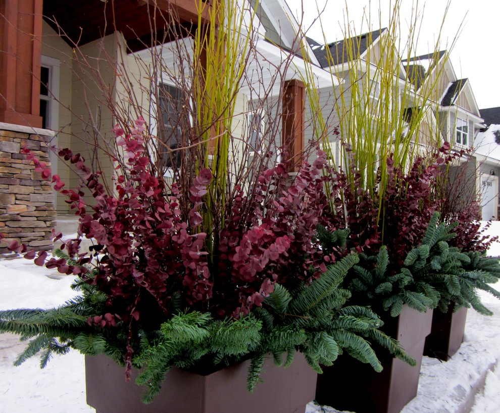 Esempio di un giardino design davanti casa in inverno con un giardino in vaso