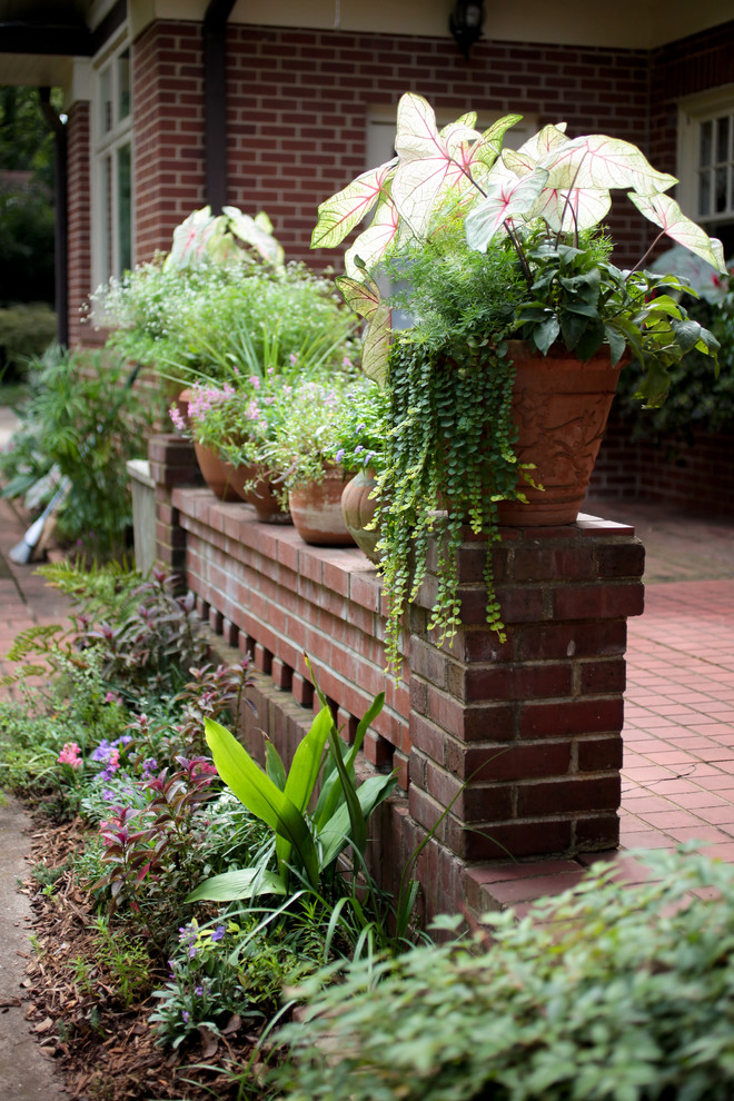 Idee per un piccolo giardino chic in ombra in cortile in estate con un giardino in vaso
