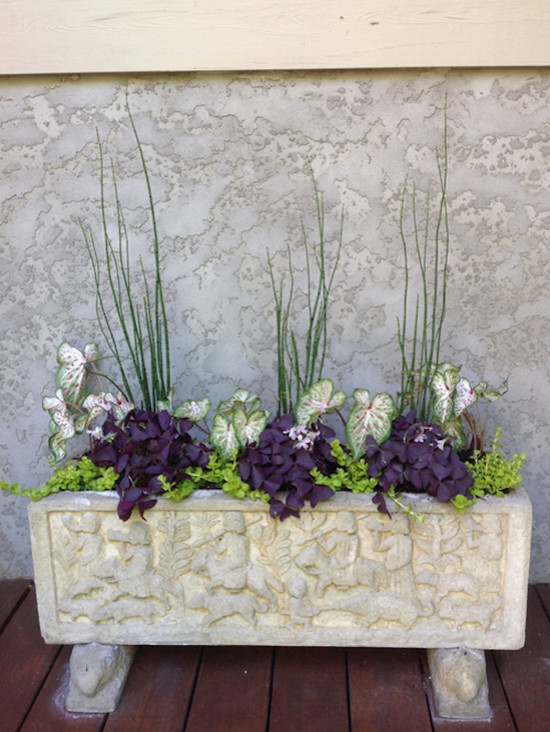 Container Gardening - Landscape - Charleston - by Garden Wise Nursery